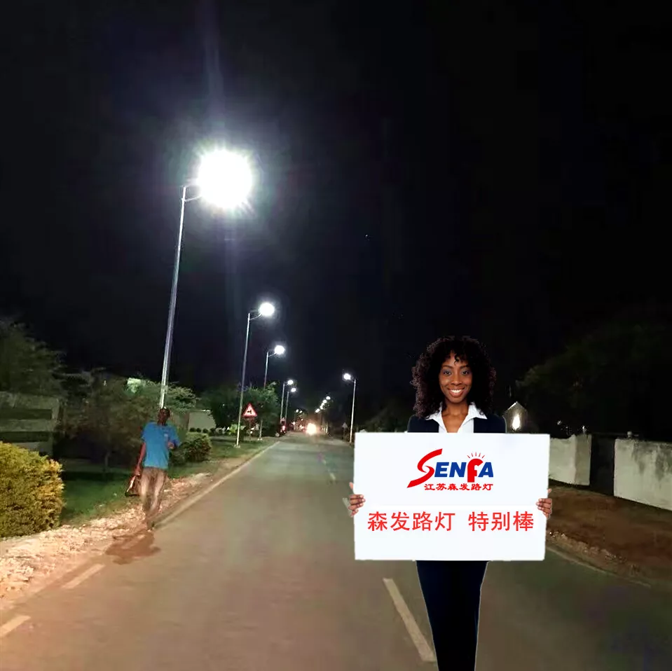 尼日利亚桑噶公路