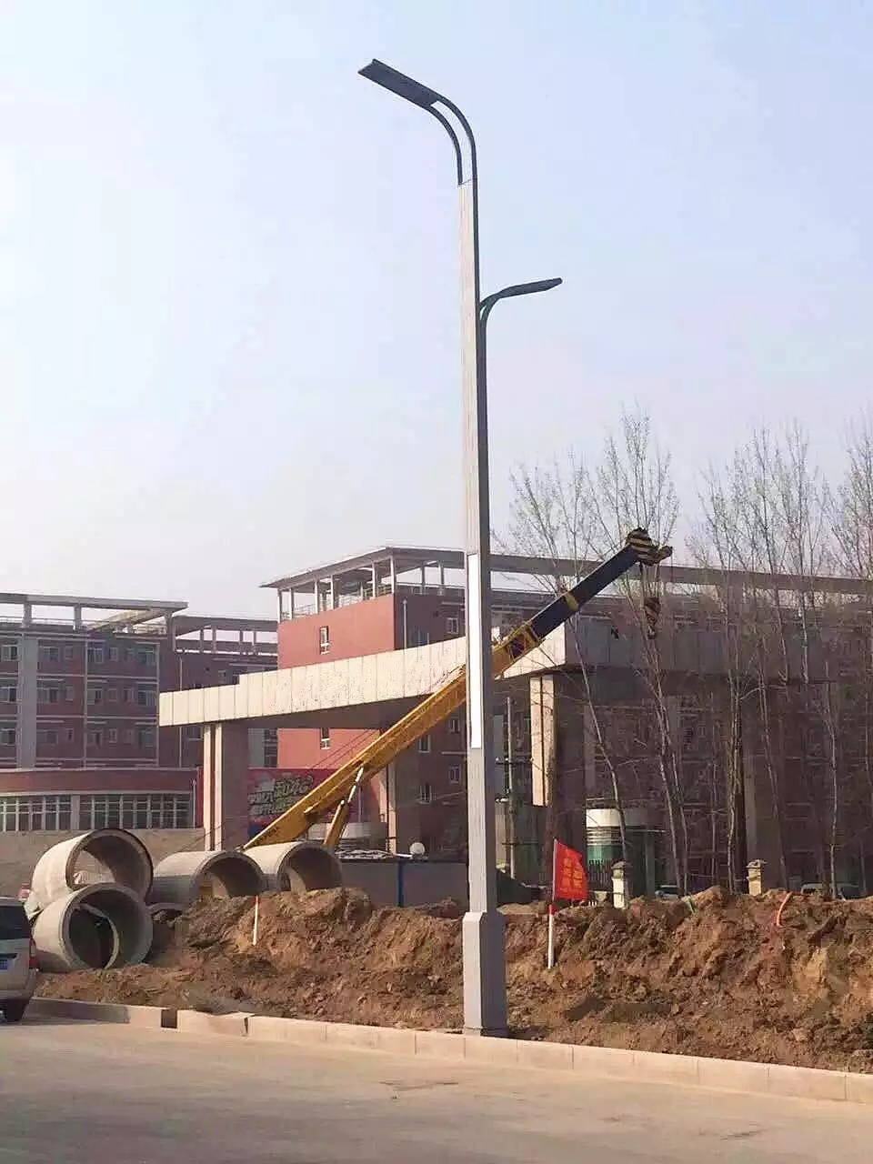 010.特地为大庆油田设计制造的路灯2