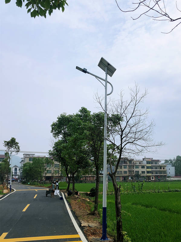 20200530永新县文竹镇3_副本